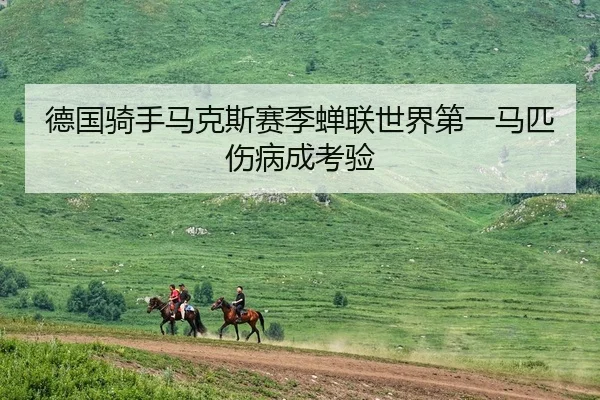 德国骑手马克斯赛季蝉联世界第一马匹伤病成考验